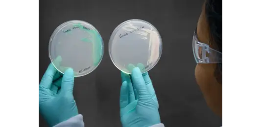 Antifungal Peptides: Pipeline Against Silent Superbugs